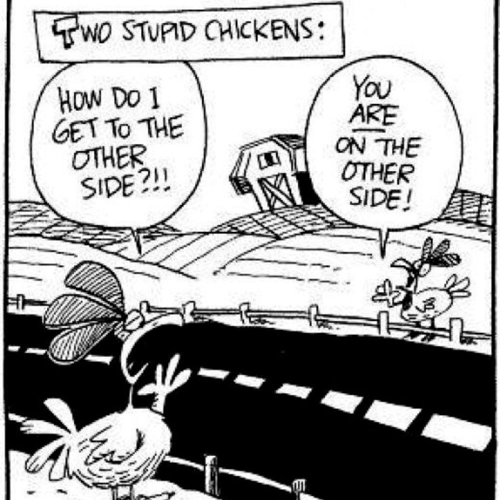 Just for the Giggles! 😊